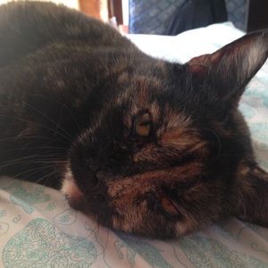 Meet your Posher, Emma